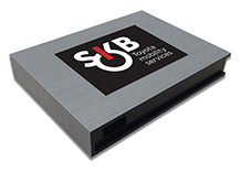 SKB (Smart Key Box)